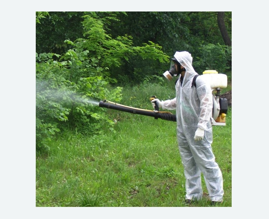 обработка территории от клещей в Новочеркасске