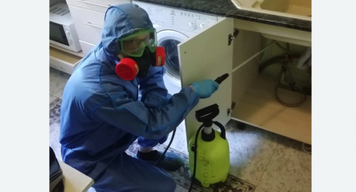 Уничтожение муравьев в квартире. Новочеркасск