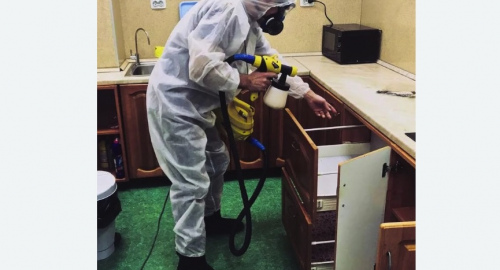 Уничтожение насекомых в квартире. Новочеркасск