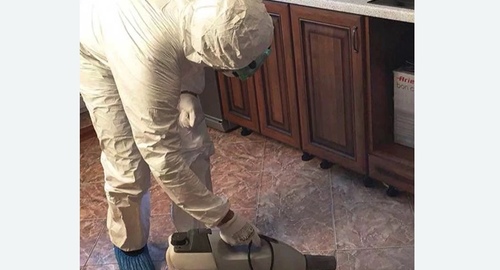 Уничтожение тараканов в квартире. Новочеркасск