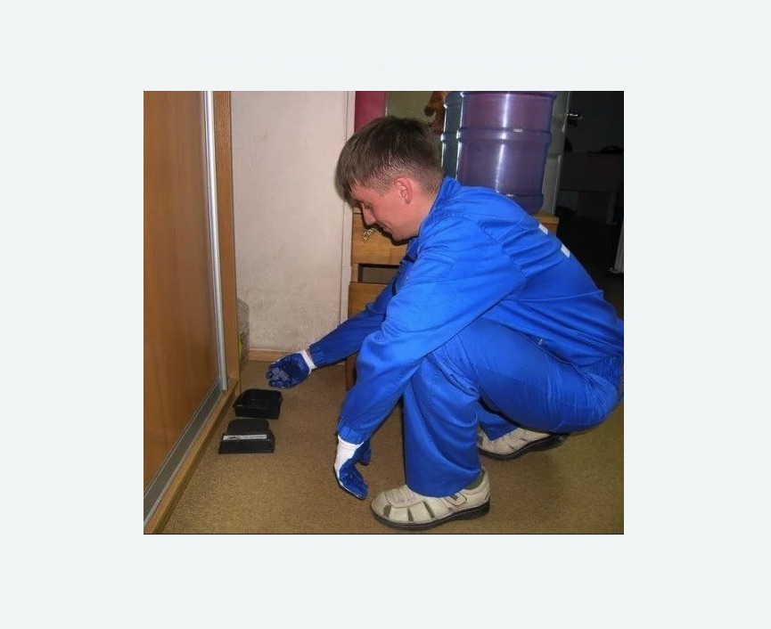 Дератизация крыс в Новочеркасске