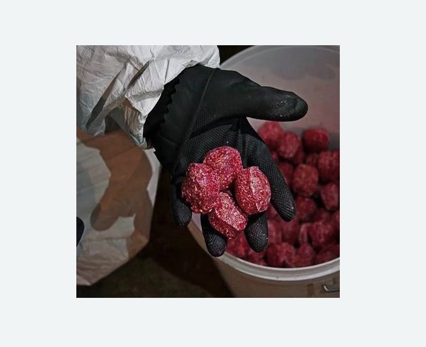 Обработка от крыс в Новочеркасске