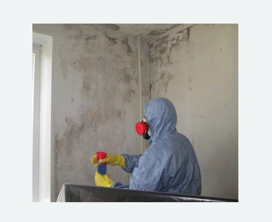 Удаление плесени в квартире в Новочеркасске