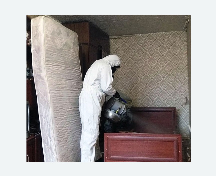 дезинфекция от клопов в Новочеркасске