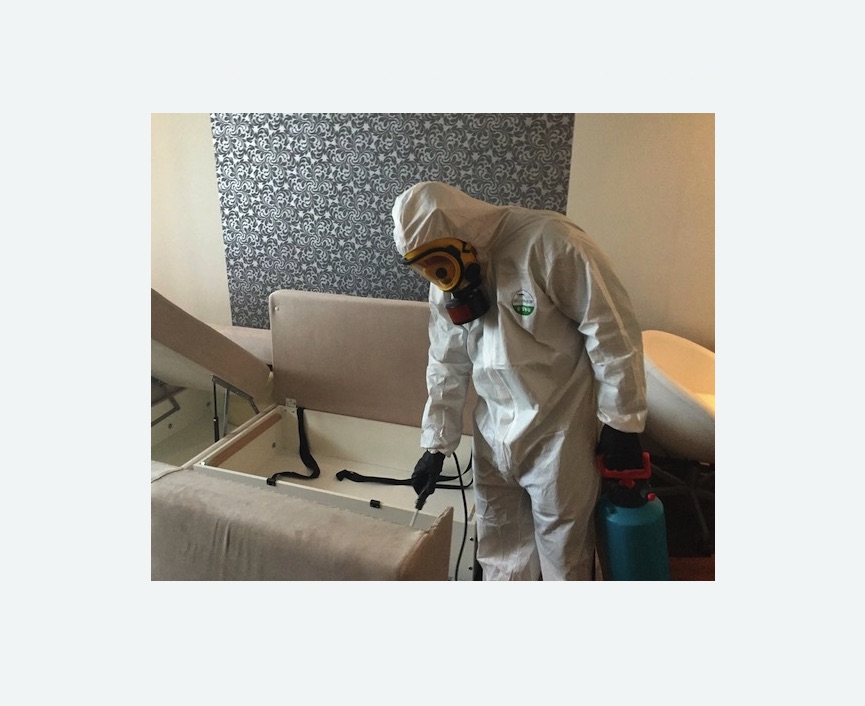 уничтожение клопов в квартире в Новочеркасске