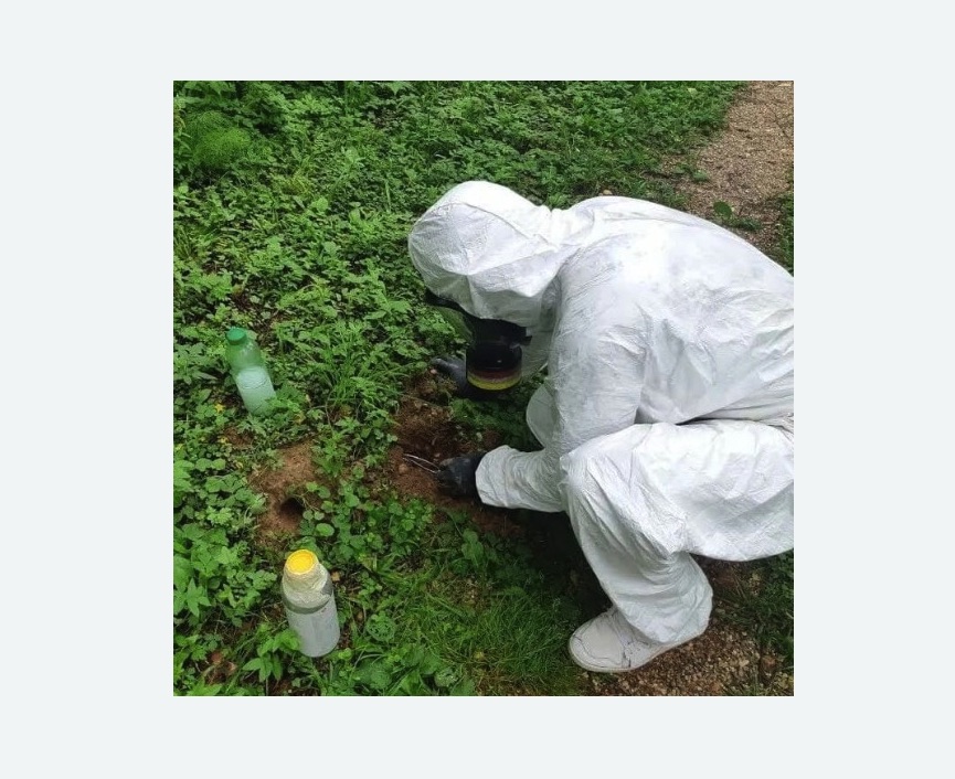 уничтожение кротов на участке в Новочеркасске