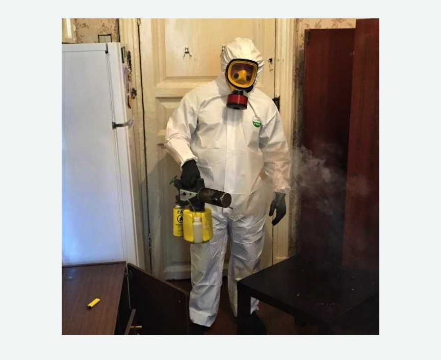 уничтожение муравьев в квартире в Новочеркасске